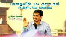 பாதையில் பல கனவுகள்- Paathaiyil pala kanuvgal