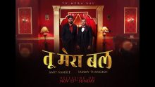 तू मेरा बल है प्रभु – Tu mera bal hain prabhu